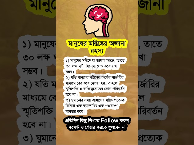 মানুষের মস্কিষ্কের অজানা রহস্য #shorts #viralshorts #motivational #islamicshorts #islamicvideo