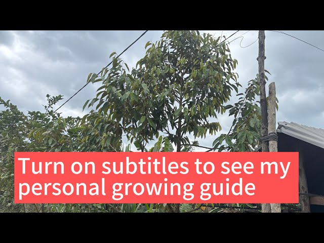 Turn on subtitles to see my personal growing guide