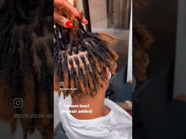 Instant locs! | San Fransisco Workshop