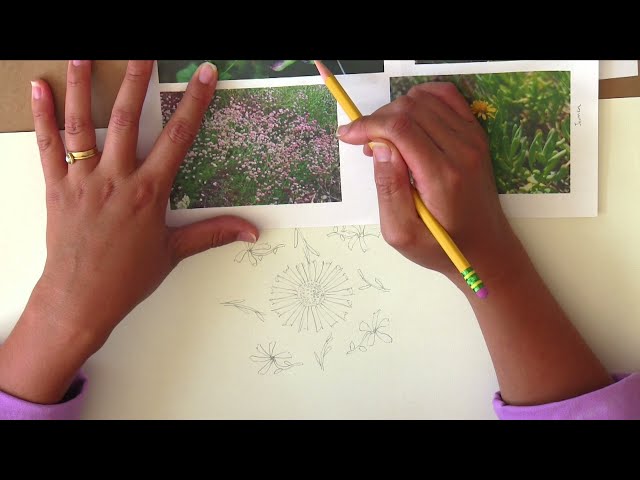 CREATE with Krystal Chang - Plant Patterns