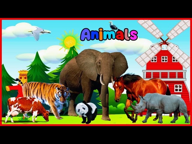 Animal🐶🦏🐴 Names & Sounds for Toddlers & Preschool Kids | Names of Animals for Kids | Animals Videos