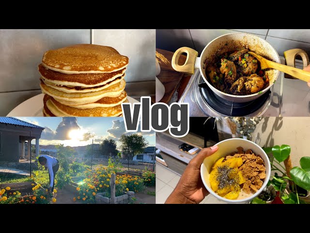 Weekly vlog: working in my garden | took the kids to the party | mini haul | South African YouTuber