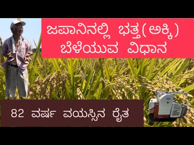 ಜಪಾನ್ ರೈತನ ಸಂದರ್ಶನ l 82 ವರ್ಷದ ರೈತ I ಕನ್ನಡ Vlog l ಜಪಾನಲ್ಲಿ ಕನ್ನಡಿಗ | ಅಕ್ಕಿ ಬೆಳೆಯುವ ವಿಧಾನ