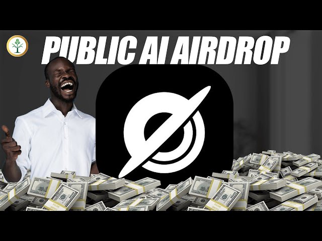 Public Ai Airdrop Farming Guide