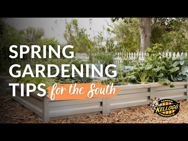 Spring Gardening Tips for Southern States: Transitioning into Warm Weather