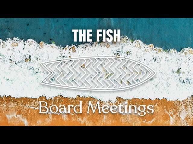 The Fish: An Introduction To Riding Shorter Boards! | Board Meetings