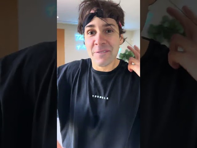 David Dobrik beats Conor McGregor in Boxbollen 🤯