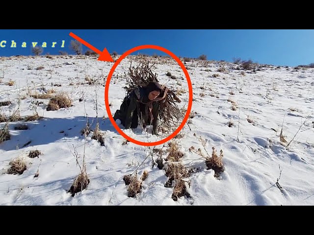 Helpless: Nomadic widow freezing in the mountains with a load of firewood❄️🗻