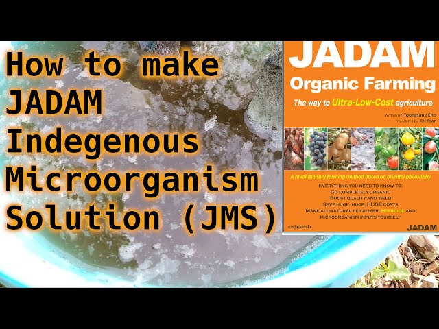 How to make JADAM Indigenous Microorganism Solution (JMS)