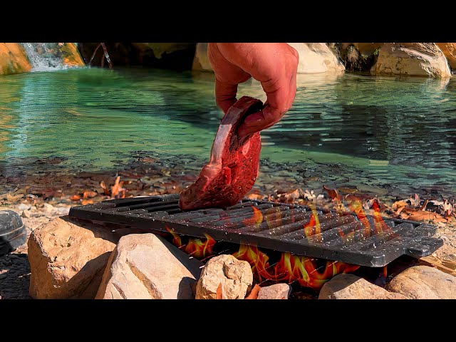 Unbelievable Tom & Jerry Steak Challenge: Cooking Nature by the Waterfall!