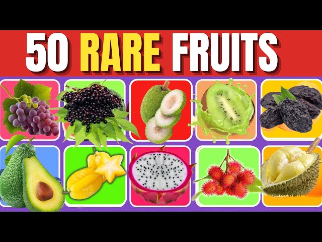 50 Rare Fruits in the World