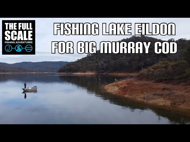 Fishing Lake Eildon For BIG Murray Cod | The Full Scale