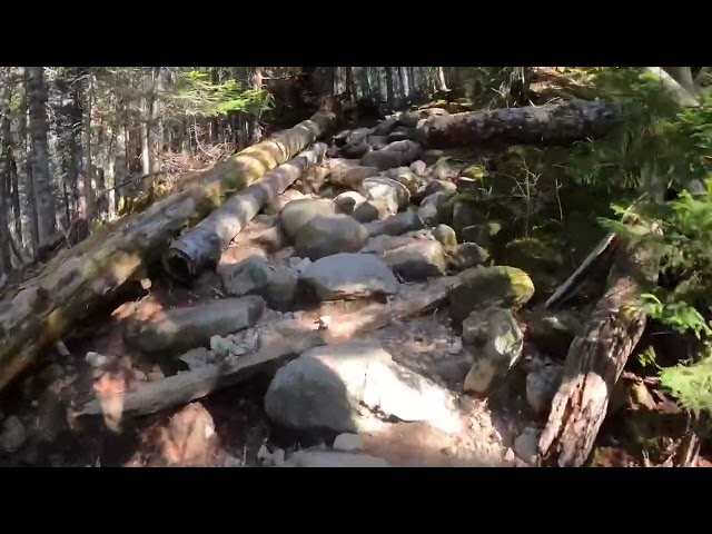 Hiking Mount Monroe New Hampshire