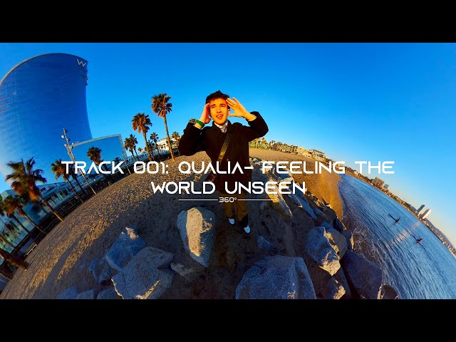 TRACK 001: QUALIA- FEELING THE WORLD UNSEEN