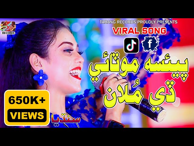 Paisa Motaaye De Moolaa پئسا موٽائي ڏي ملان | Sandhiya Sindhi | Viral Song | Tarang Records 2023