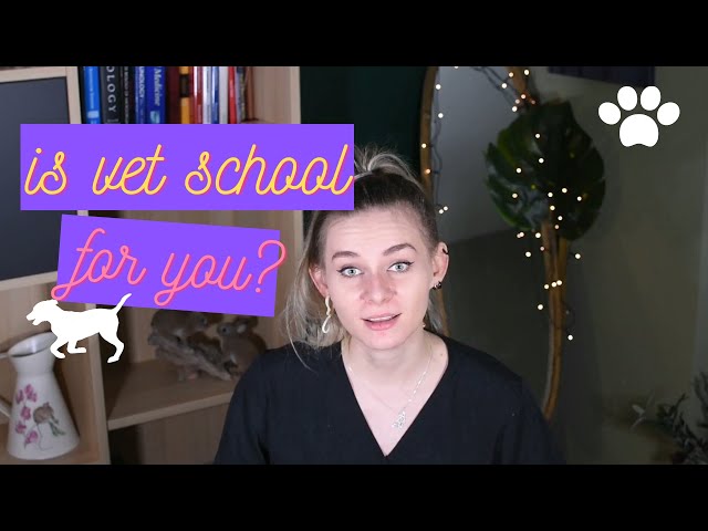 Is vet school for you?