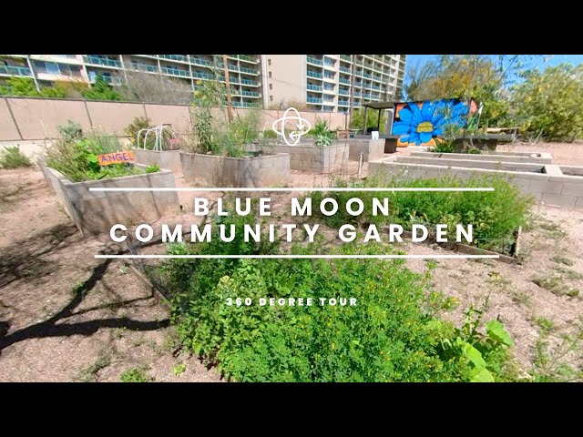 Blue Moon Community Garden - 360 Degree Tour