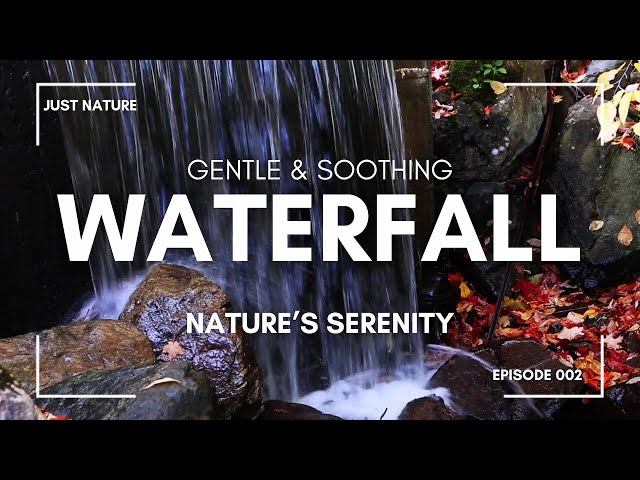 Relaxing Waterfall Sounds for Sleep, Meditation or Focus (1 hour)