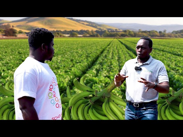 How A Young Rwandese Empowers 5000 Farmers In Rwanda 🇷🇼