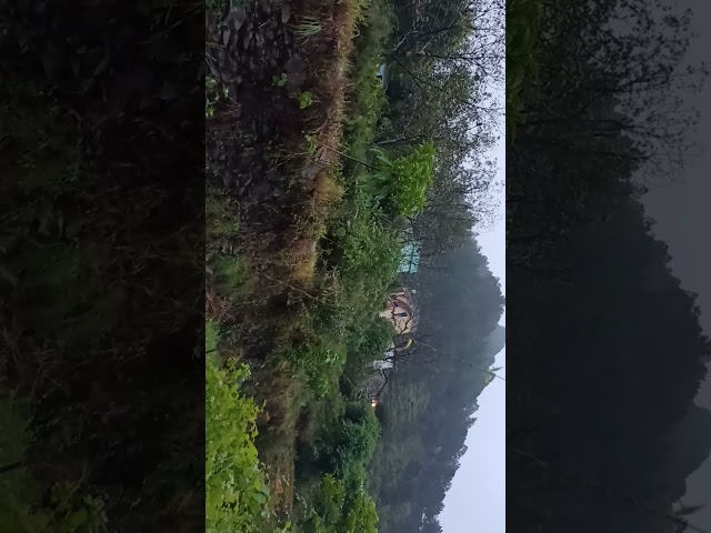 Barish Ke Mausam Mein Syunsi Uttarakhand Vlog