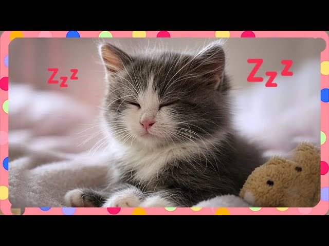 Good night, sleep tight!🌙✨| The Best Educational Songs for Kids