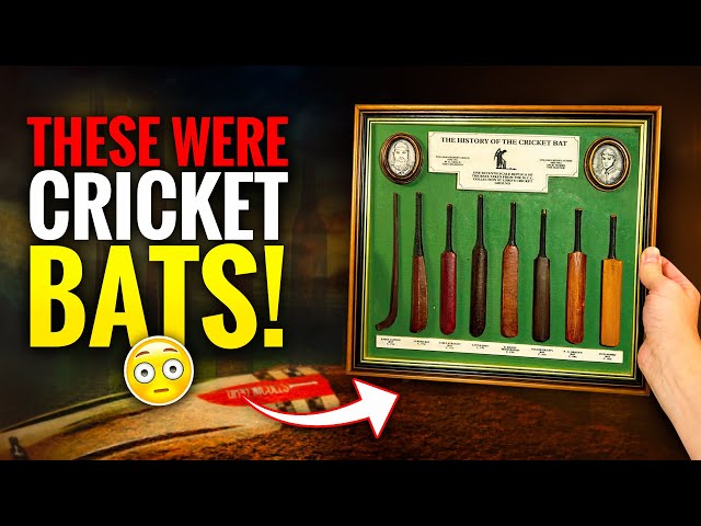 What Cricket Experts Don't Want You to Know About Cricket Bats Evolution