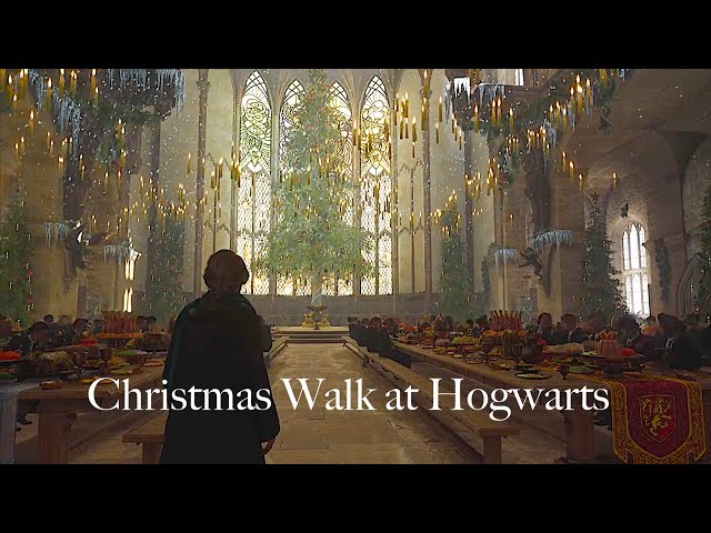 Christmas Walk At Hogwarts | Hogwarts Legacy (ambience)