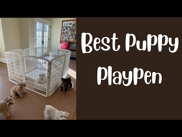 Favorite Playpen for Puppy - 2 Iris Options - One is BETTER!!