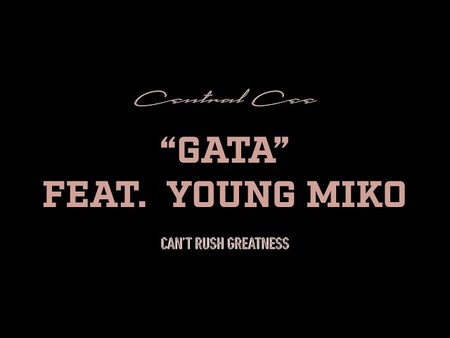 CENTRAL CEE - GATA FEAT. YOUNG MIKO (LYRICS)