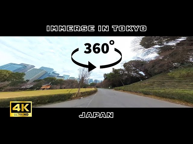 【4K・360°VR】Discover Japan's Central Park: A Hidden Urban Oasis #tokyo #travel #immersive