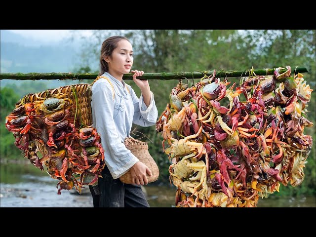 FULL VIDEO: Harvesting CRAB, Harvesting FISH...Go To Market Sell | Farm Life: Cooking & Gardening