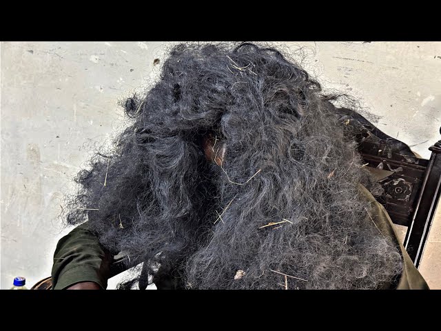 Incredible Haircut Transformation - Rescued from the Jungle | Long Hair Very Dirty Transformation