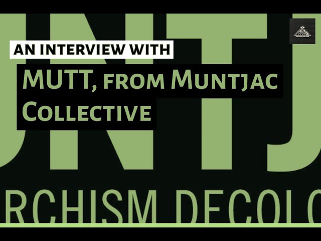 Interview with MUTT: Muntjac, Propaganda, and Anarchism | PART 1