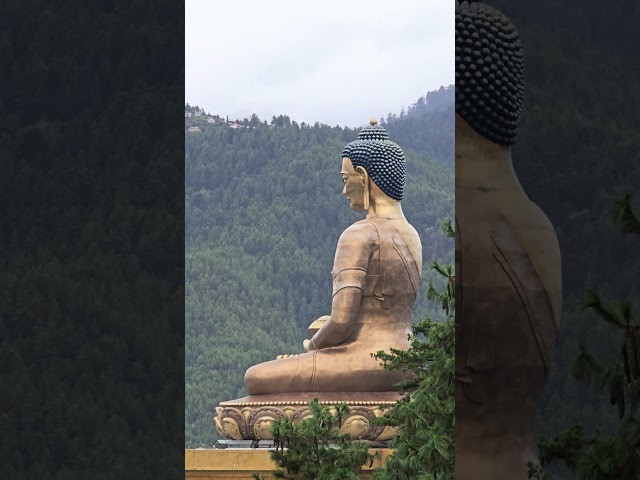 Buddha Dordenma is the tallest seated statue of Buddha in the world! #bhutantravel #bhutan #fyp