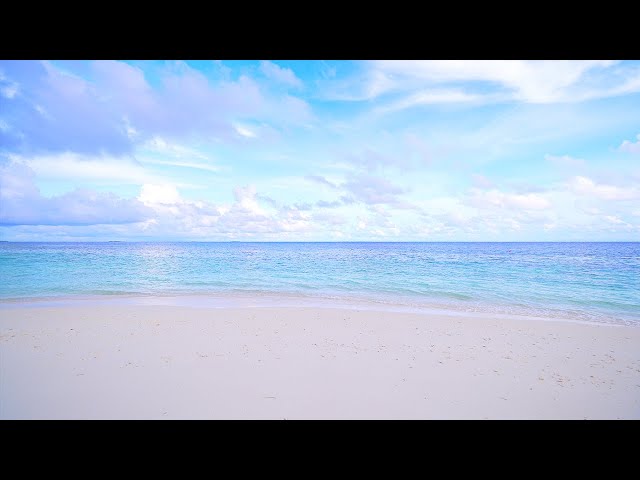 Maldives Beach 4K 🏝 Turquoise Water, White Sand and Ocean Sounds