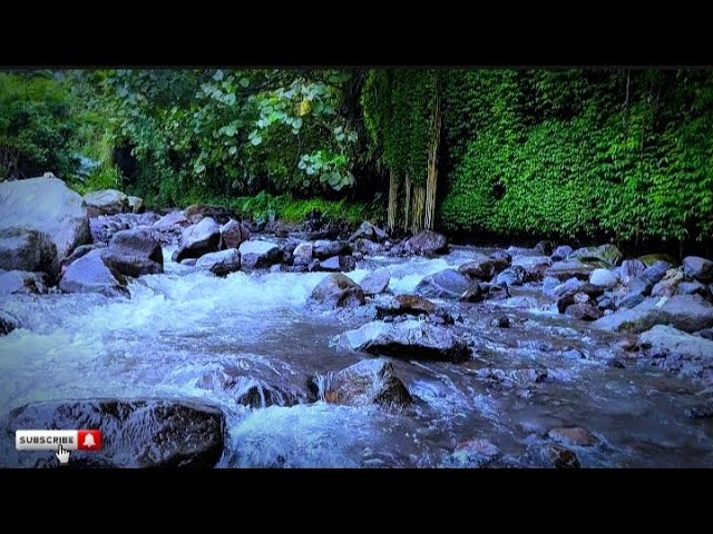 Peaceful River Flowing Sound. Gentle River, Relaxing Nature Sounds. White Noise for Sleep, Study