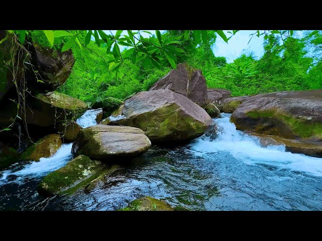 Waterfall Sound in the Mountains, Relaxing White Noise, Nature Sounds for Sleeping/Meditation/ASMR