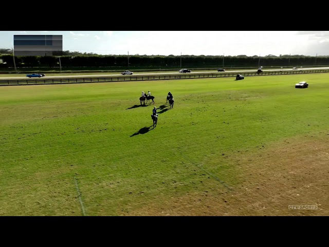 6g - Halo Polo Trophy - Smithfield vs Camp Polo