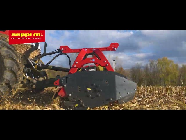 SEPPI M. - SMO fh 250 - trnciatrice / flail mulcher / Schlägelmulcher