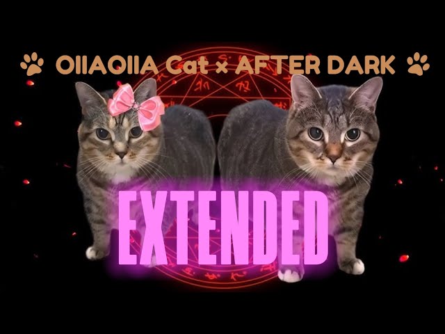 OIIAOIIA CAT × AFTER DARK (EXTENDED)