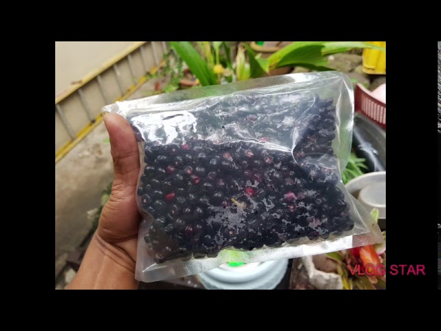 ang sipag mamunga🍒🍒🍒 sino po nakakaalam nito kong makakain po ba sya or hindi pls coment lang po🙊🙊🙊