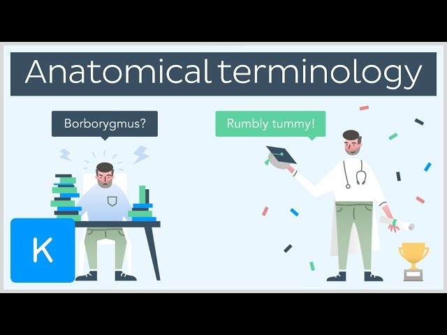 Why you need anatomical terminology as a healthcare professional - series intro  | Kenhub