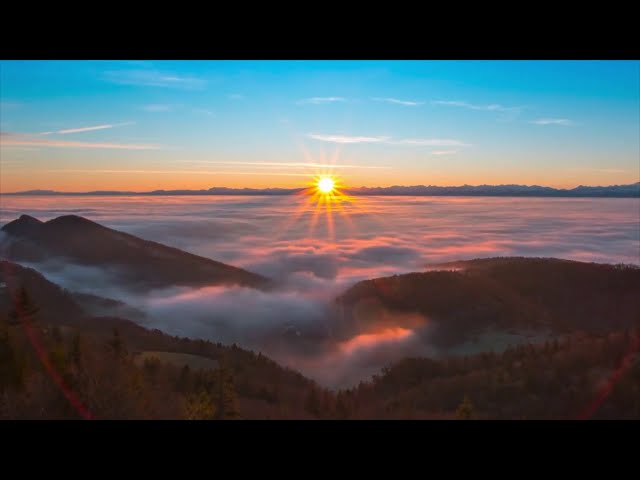 🔴 Sleep Music 24/7, Sleep Meditation, Healing Music, Calm Music, Relaxing Music, Study Music, Sleep