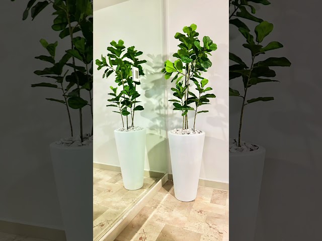 Transform Your Space: The Magic of Faux Indoor Plants#interiordesign #indoordecor #artificialplants