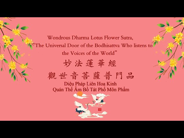 Tập đọc Quán Thế Âm Bồ Tát Phổ Môn Phẩm tiếng hoa- Practice to read Universal Gate of Avalokitesvara