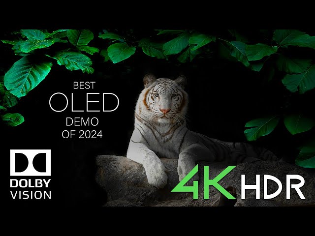 4K OLED TV TEST 2024 | Dolby Vision | 60FPS HDR Demo