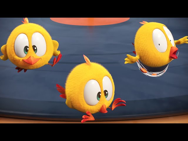 DISCO CHICKY 🕺 ¿Dónde está Chicky? | Dibujos animados para Niños | Nuevos episodios