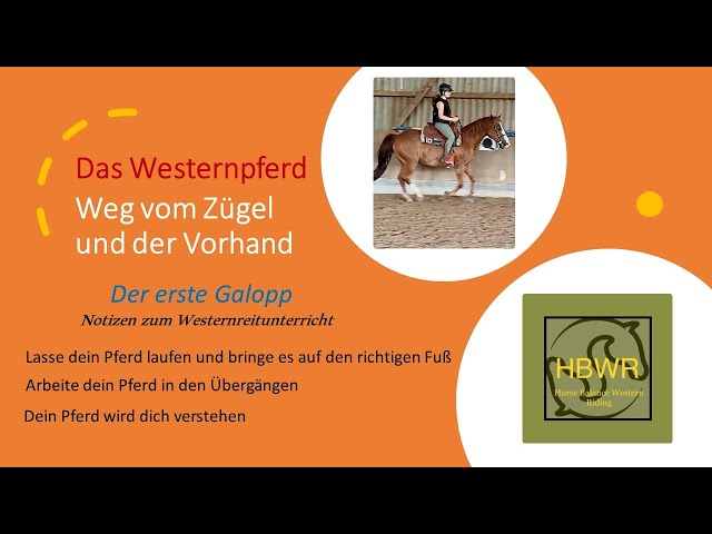 Der erste Galopp - Weg vom Zügel und der Vorhand