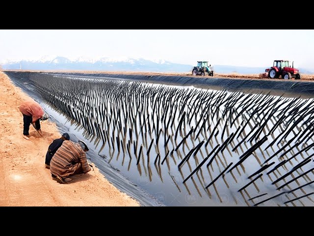 They Poured Billion Tons of Water From The Colorado River On Cotton, Year Later Everyone Was Shocked