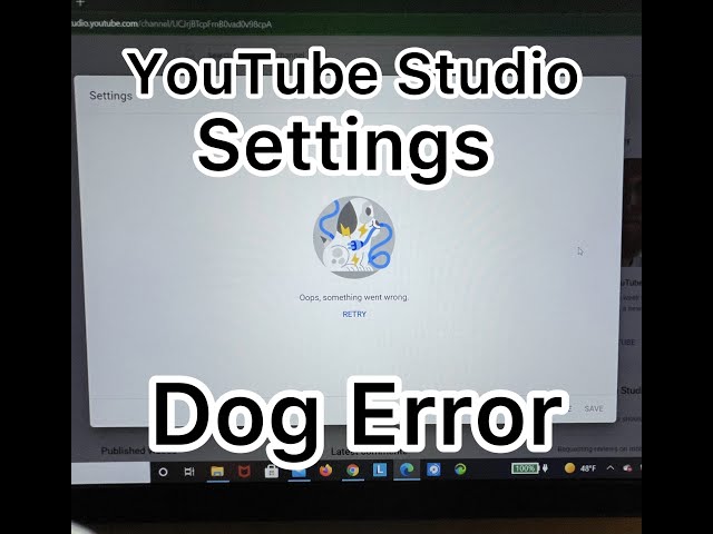 #YouTube Studio Settings Dog Error #usa